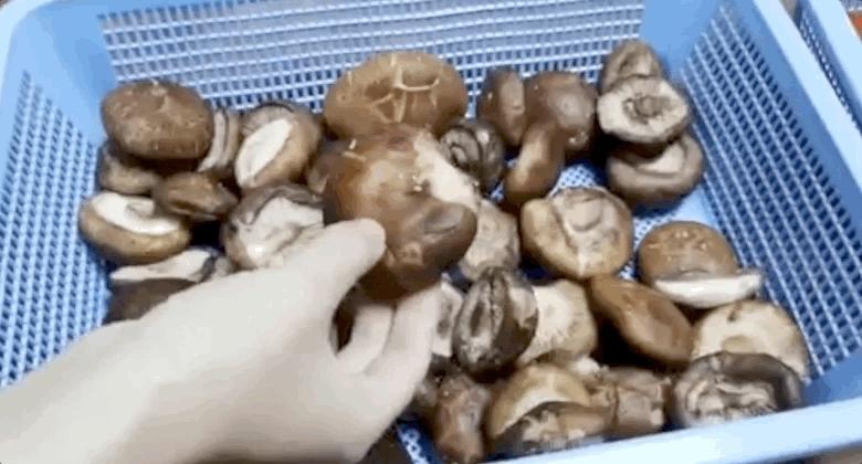 宁国幼儿园最新招聘启事发布