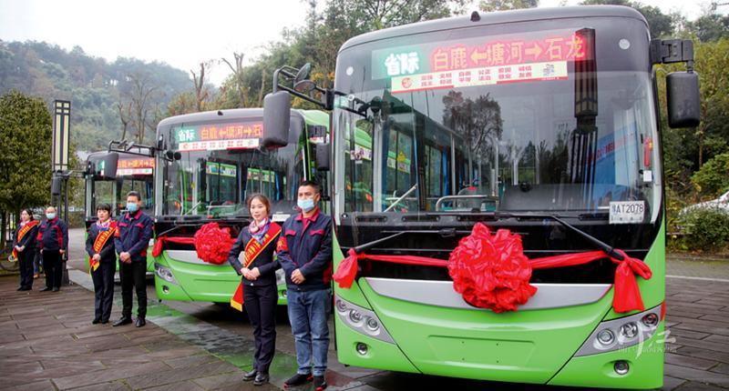 2024泸州车祸事故最新报道及回顾