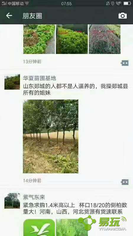 郯城与邳州最新消息全面解读，指南与步骤详解