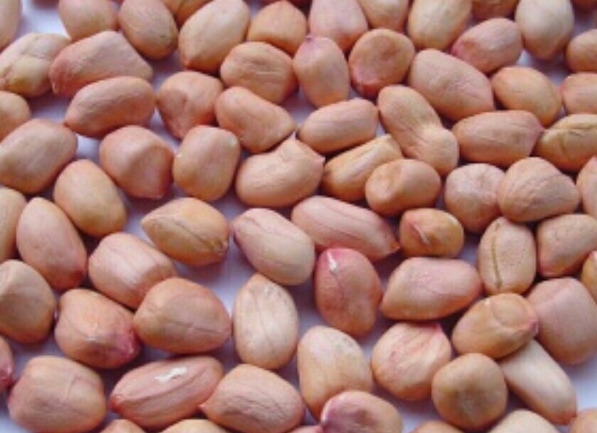 广西花生米今天最新价格,广西花生米,小巷深处的秘密味道,今日最新价格揭秘!