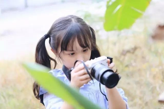 楚北城尹南方小谈最新,楚北城尹南方小谈最新,如何完成一项任务或学习一种技能的详细步骤指南