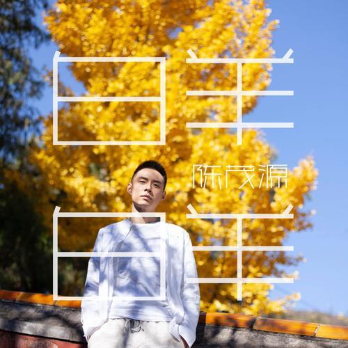 陈茂源最新星座续集，多维解读星座信仰的魅力与奥秘