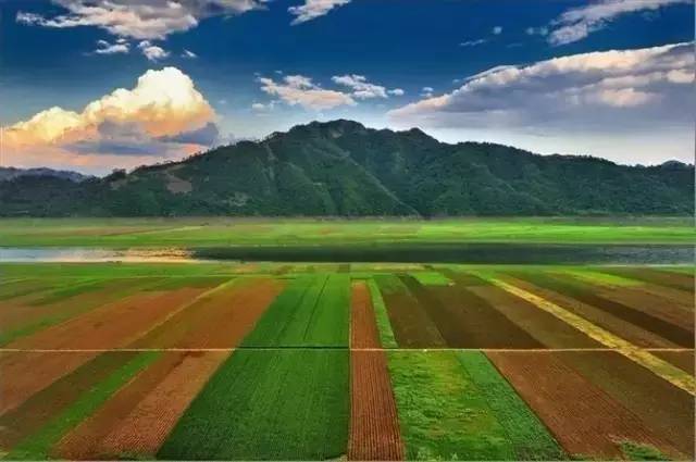 山村小岭主,隐秘山村的传奇故事最新章节更新