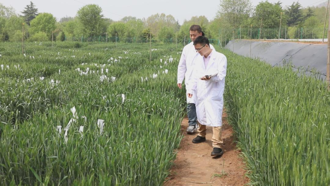 汕头潮南峡山最新招聘,职业发展的理想选择