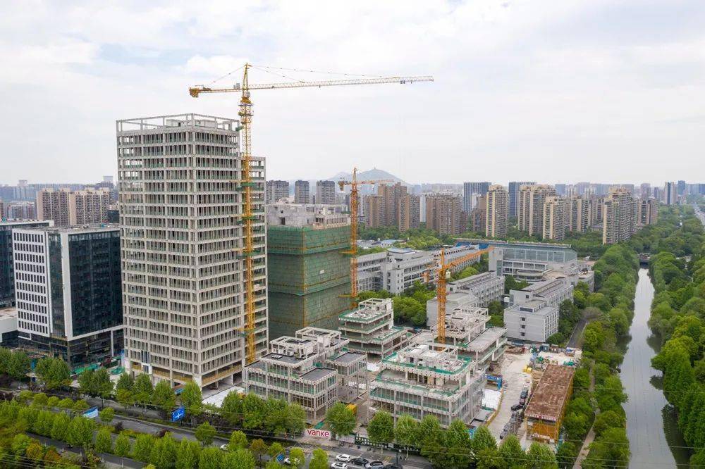 抚宁东街高层最新动态更新