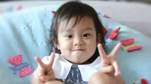 超萌90视频,自然美景治愈之旅探索视频