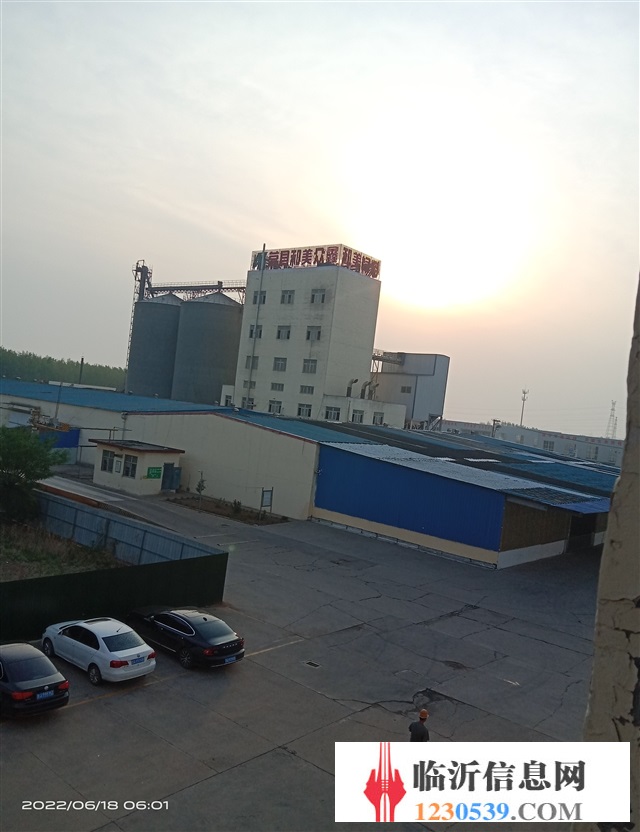 临沂饲料厂最新招聘情况及行业现状与个人观点探析