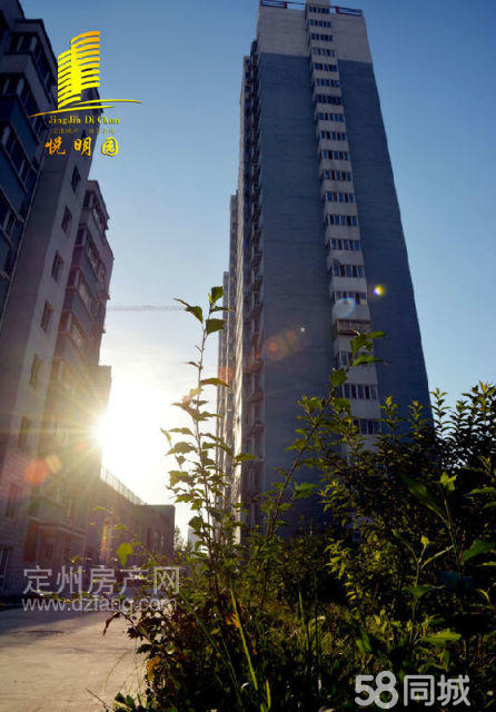 定州锦城苑最新动态,科技前沿的居住新体验揭秘