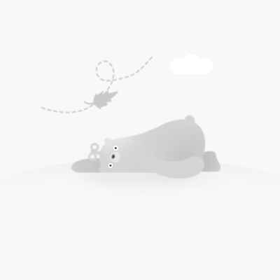 OPPOR9m最新报价汇总,市场分析与个人观点