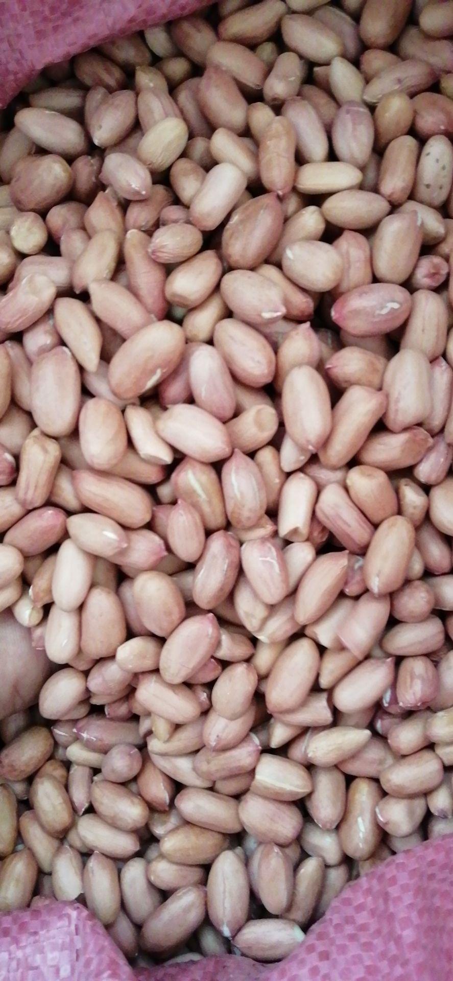 花生米最新价格背后的友情与家庭温馨故事