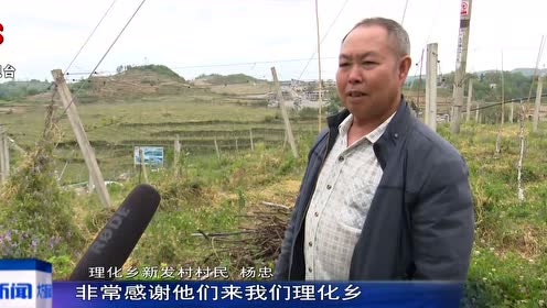 大方新闻最新杀人事件报道及分析,聚焦要点深入探讨