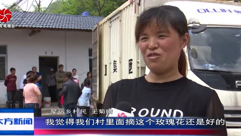 大方新闻最新杀人事件报道及分析,聚焦要点深入探讨