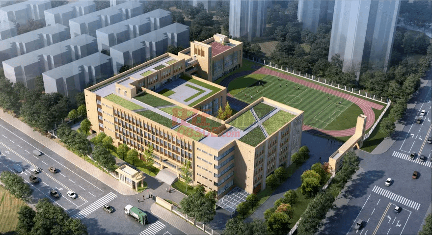 泸州校园事件最新动态更新,校园安全备受关注