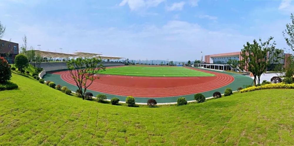 泸州校园事件最新动态更新,校园安全备受关注