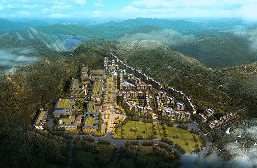 贵州黄莲假日最新动态揭秘