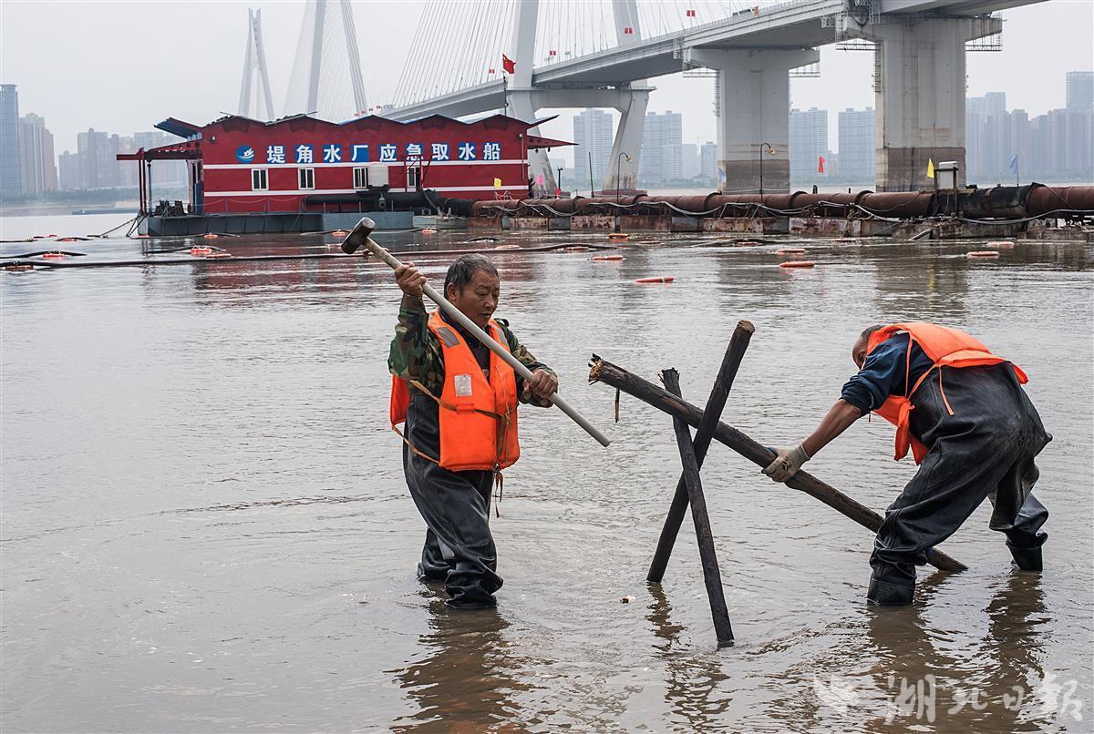 最新堤角长江大桥设计方案,开启跨江新篇章