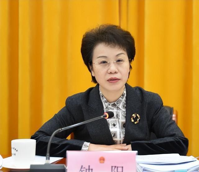 杨建忠最新动态，成功背后的故事揭晓