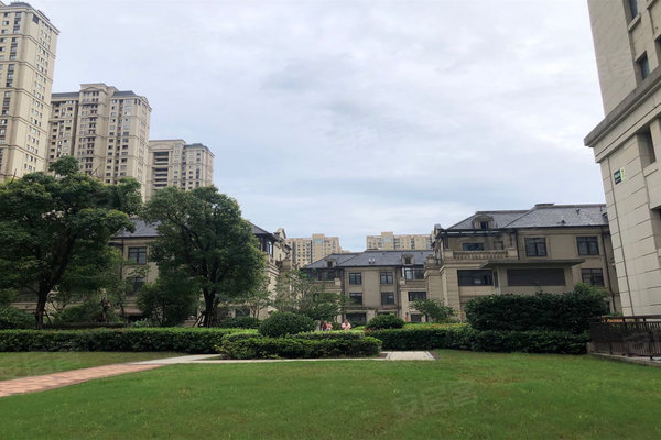 柯桥光明澜山最新动态,小巷特色小店独特魅力揭秘