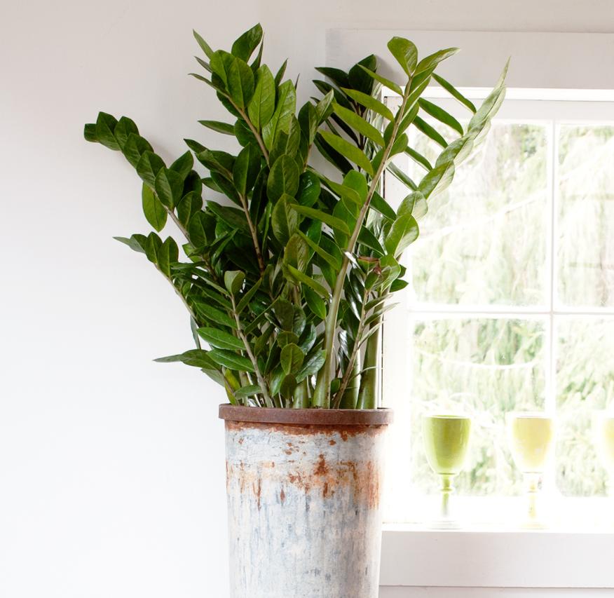 易看软件最新版下载，科技重塑视界，体验未来生活的必备工具