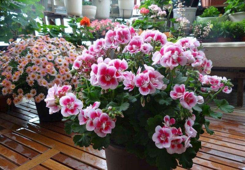 易看软件最新版下载,科技重塑视界,体验未来生活的必备工具