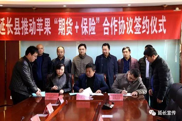 苹果期货上市最新动态及市场趋势与行业洞察分析