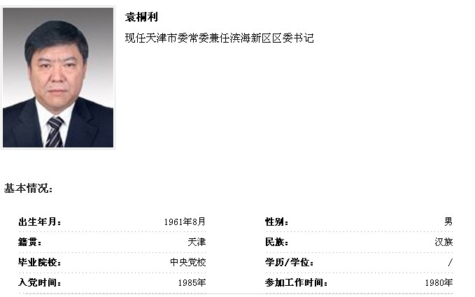 袁桐利最新动态解析，全面解读与观点阐述