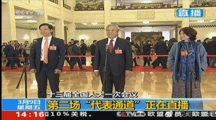 袁桐利最新动态解析,全面解读与观点阐述