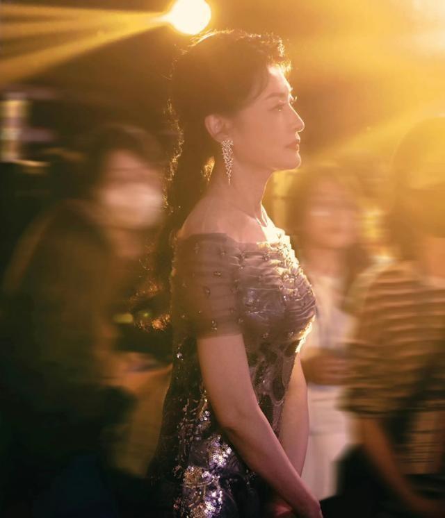 董卿2024最新动态,坚持与自信的力量展现新篇章