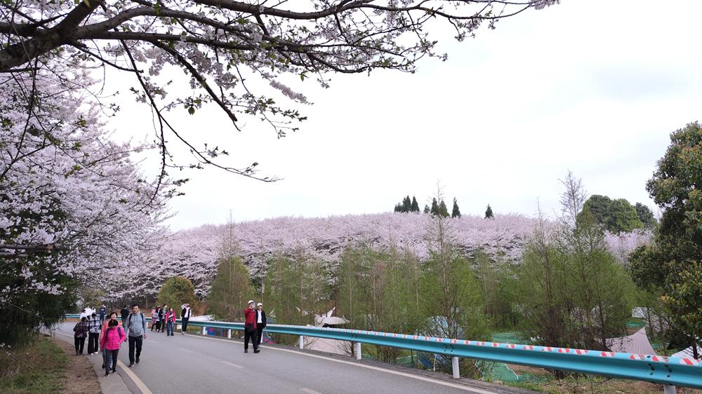 2024阳春新闻最新动态，学习变革，自信塑造未来