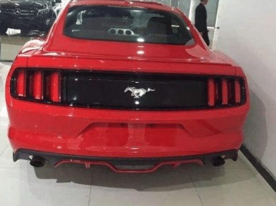 野马直播最新动态，欢乐日常与友情纽带的直播间体验