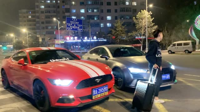 野马直播最新动态,欢乐日常与友情纽带的直播间体验