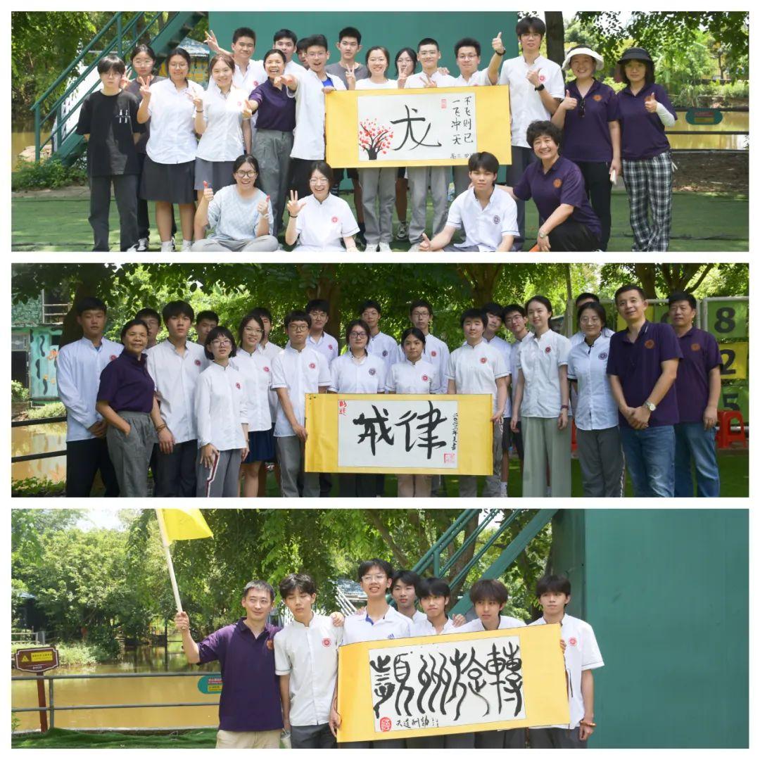 2024年天天彩免费资料,专业解读方案实施_赋能版34.955