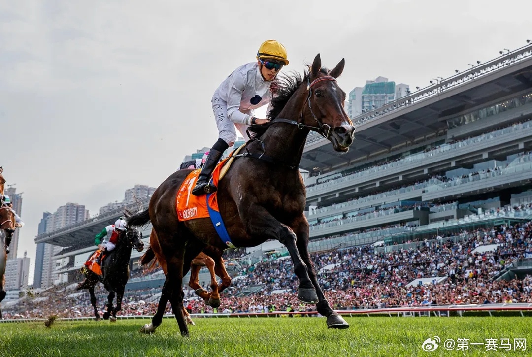 2024香港赛马全年免费资料,持续性实施方案_潮流版54.916