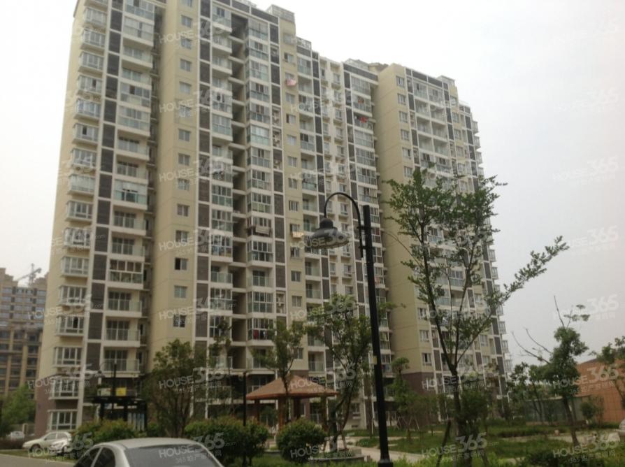 工程机械设备价格 第333页