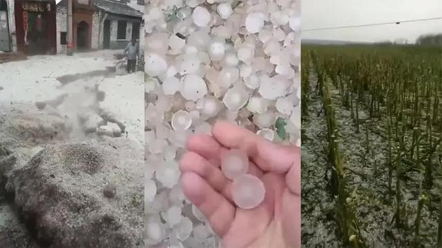 山西冰雹最新情况及分析报告