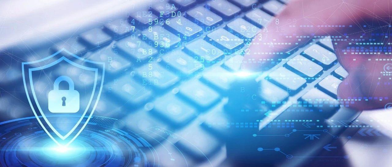 网络最新赚钱方法详解,从入门到进阶的零基础步骤指南