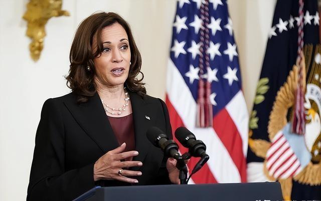 美国最新数字详解，步骤指南与数字概览