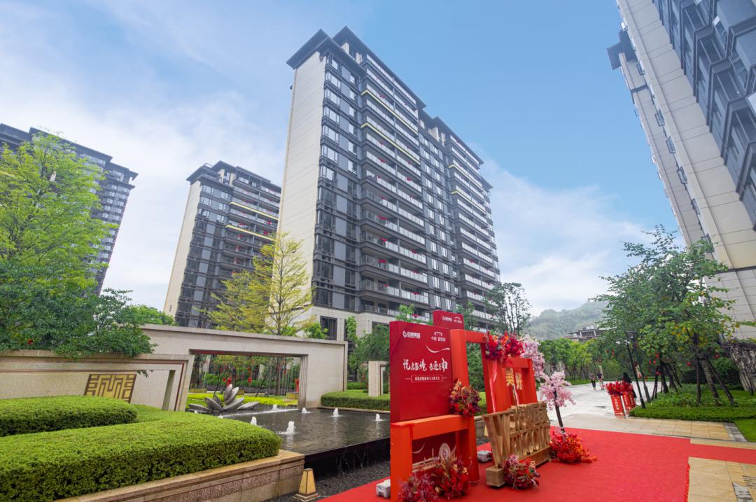 最新逾期消息详解，理解、应对与避免逾期风险的策略