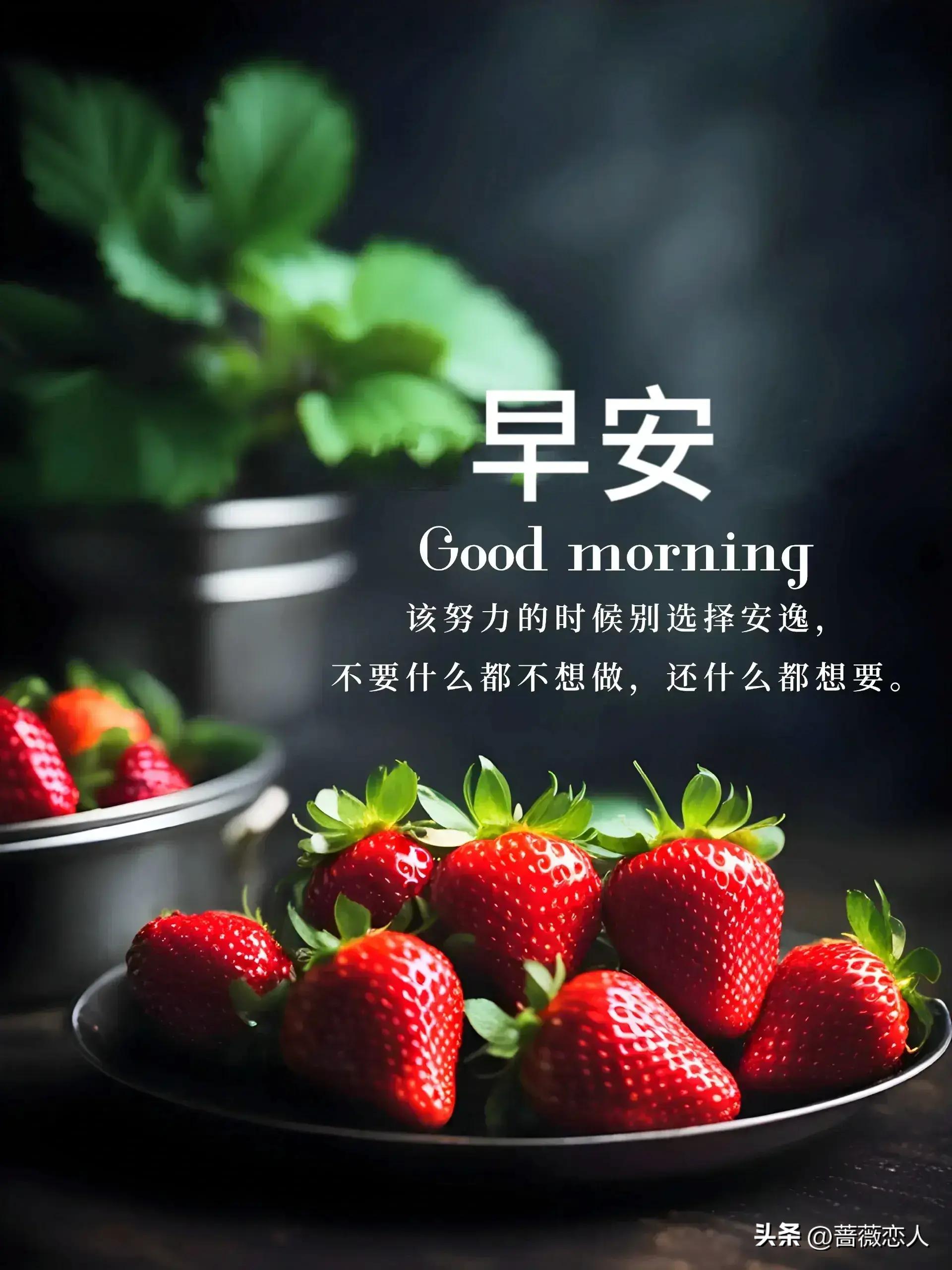 2024天天彩全年免费资料,专家权威解答_清新版15.410