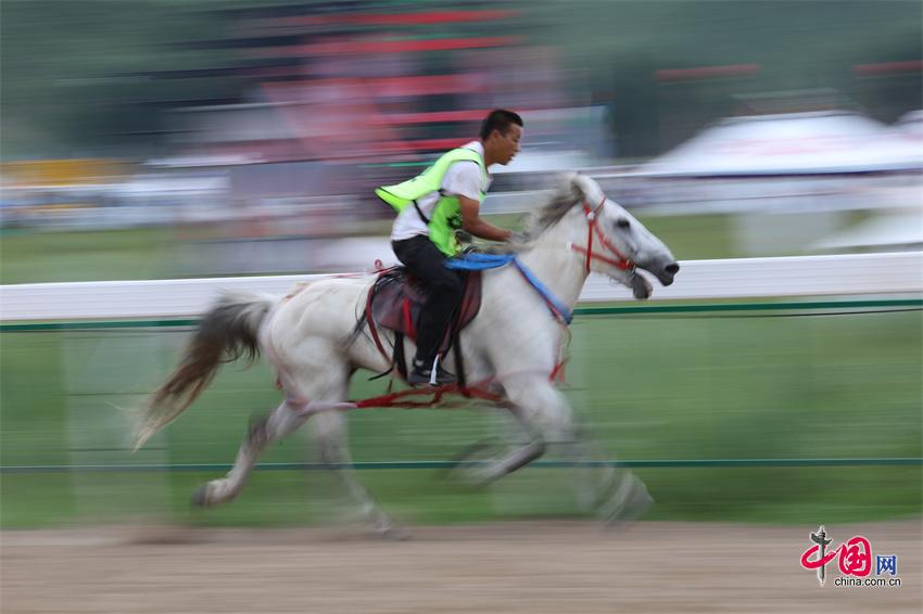 2024天天彩全年免费资料,深入挖掘解释说明_未来版3.958