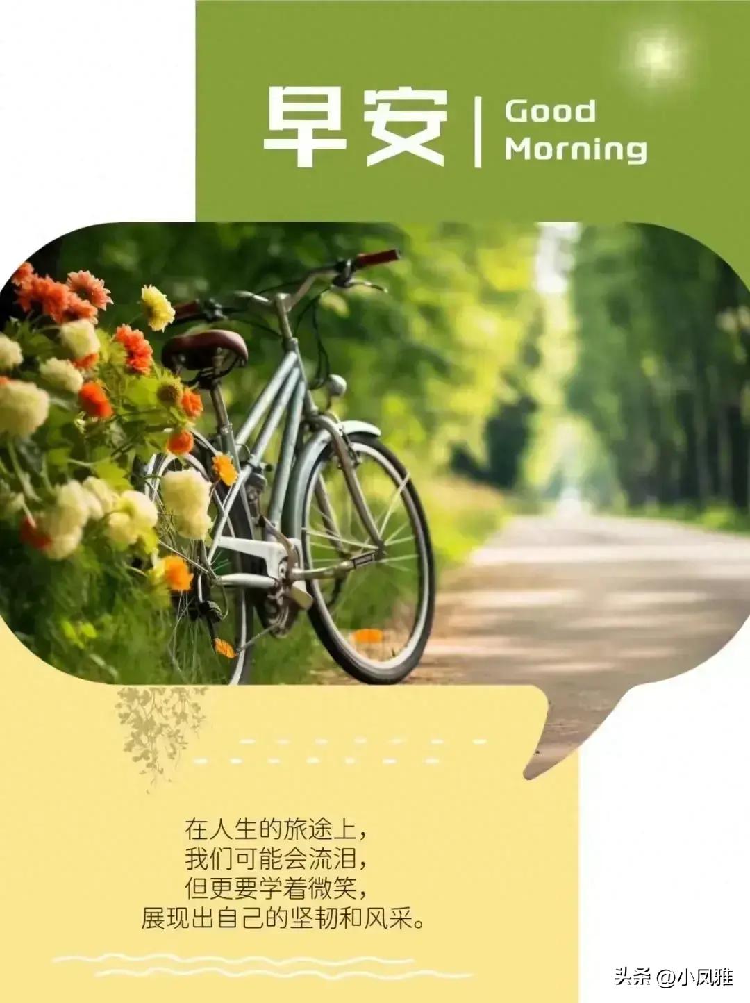 2024天天彩全年免费资料,深入挖掘解释说明_未来版3.958