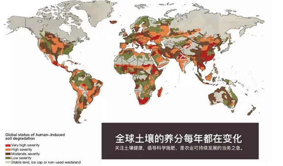 7777788888精准跑狗图,BBS应用_体现版23.791
