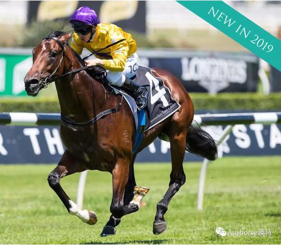 新澳2024年精准特马资料,平衡执行计划实施_VR版17.296