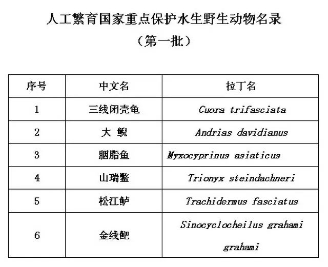 新澳最新最快资料大全旅游团,科学数据解读分析_奢华版92.881