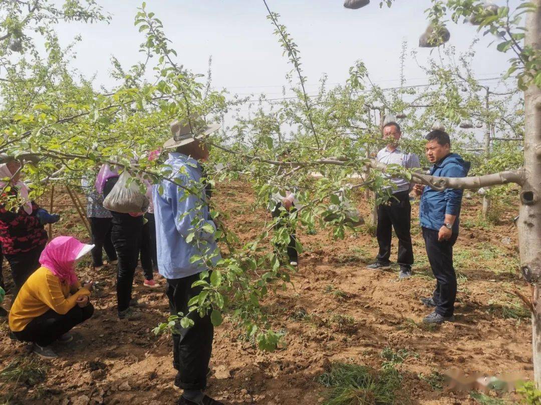 新澳门一码一码100准确,推动策略优化_教育版87.465