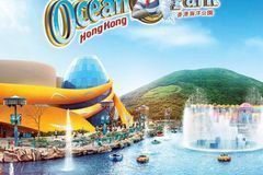 新澳门资料大全正版资料？奥利奥,实时处理解答计划_同步版52.245