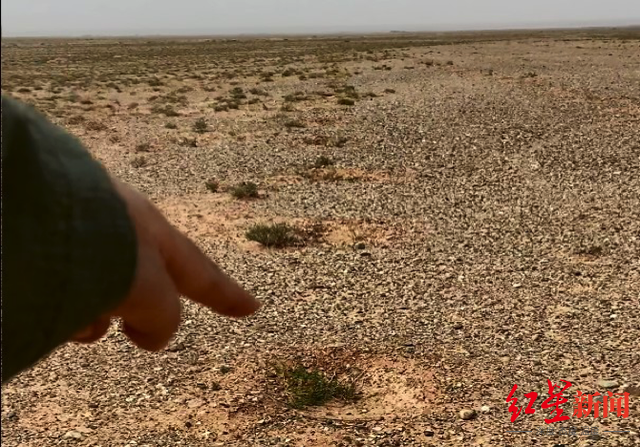 蚂蚁视频最新,巷弄深处的独特风味,特色小店魅力之旅探索