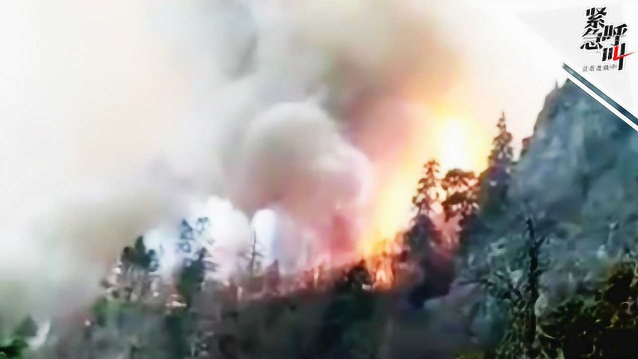 烈火最新动态,烈火最新动态，温馨日常的火焰奇遇