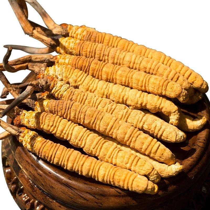 最新养骨秘籍，重塑自信，骨骼与心灵的共同成长之路