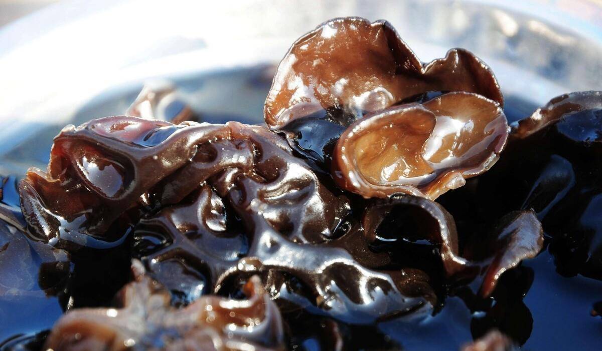 木耳最新吃法,创新与美味的完美融合